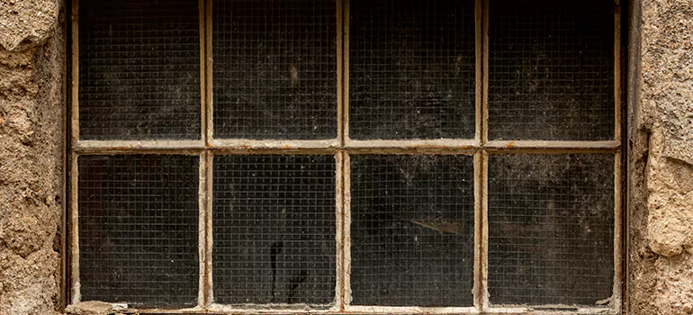 Traditional Double Front Doors in Belle Glade, FL