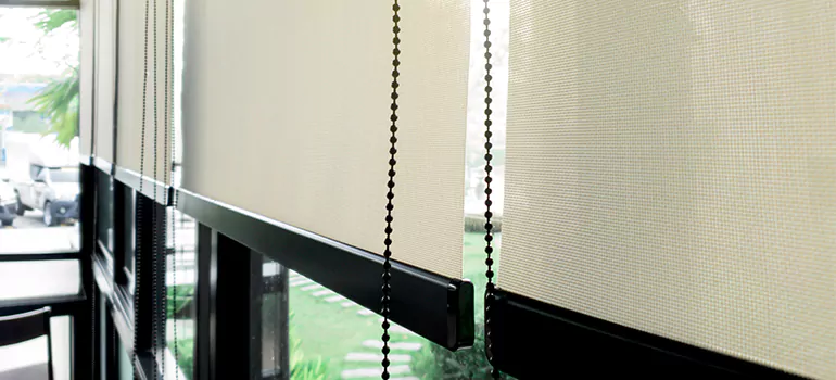 Blackout Window Shades in Belle Glade, FL